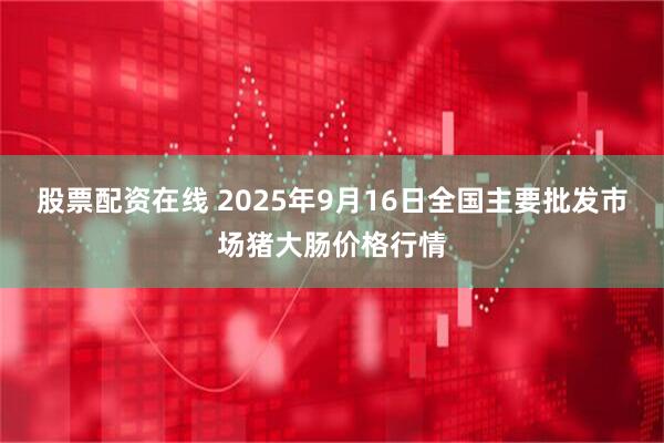 股票配资在线 2025年9月16日全国主要批发市场猪大肠价格行情