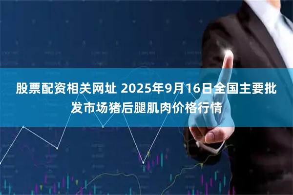 股票配资相关网址 2025年9月16日全国主要批发市场猪后腿肌肉价格行情